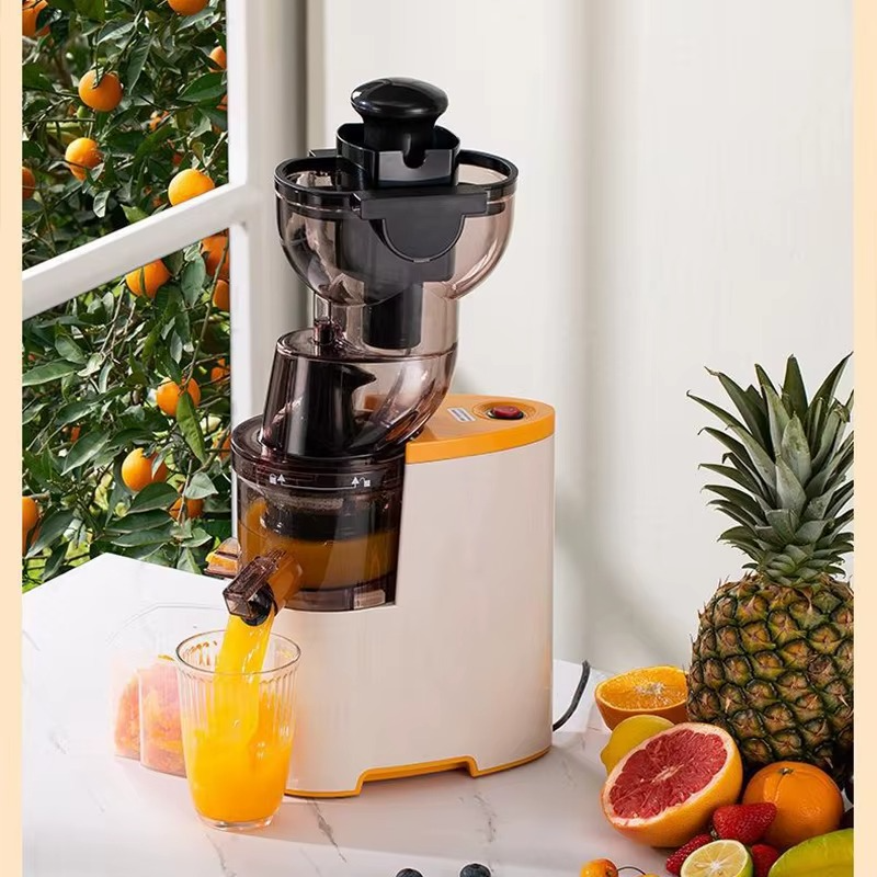 EXTRACTEUR DE JUS